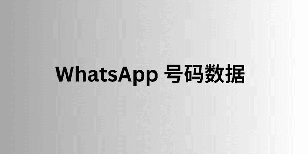 WhatsApp 号码数据