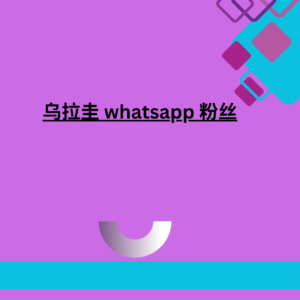 乌拉圭 whatsapp 粉丝