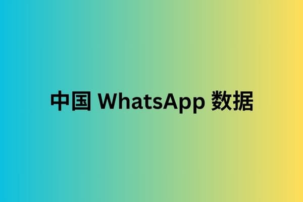 中国 WhatsApp 数据