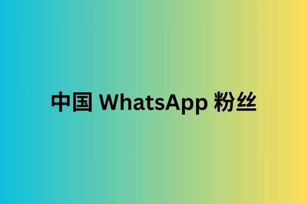 中国 WhatsApp 粉丝