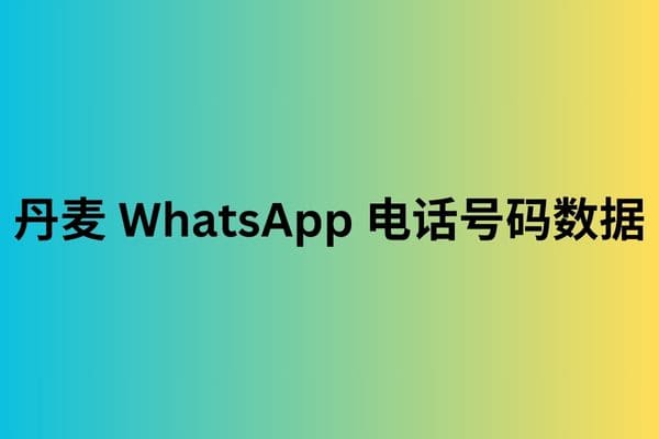 丹麦 WhatsApp 电话号码数据