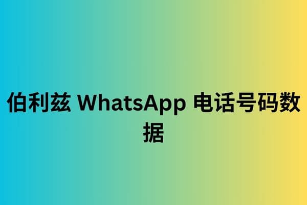 伯利兹 WhatsApp 电话号码数据