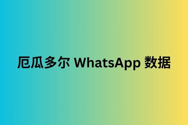 厄瓜多尔 WhatsApp 数据