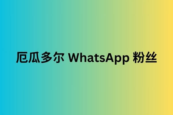 厄瓜多尔 WhatsApp 粉丝