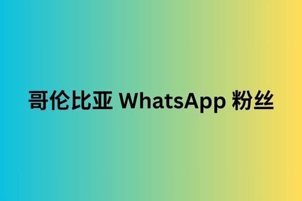 哥伦比亚 WhatsApp 粉丝