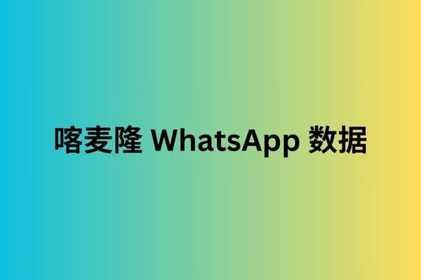 喀麦隆 WhatsApp 数据