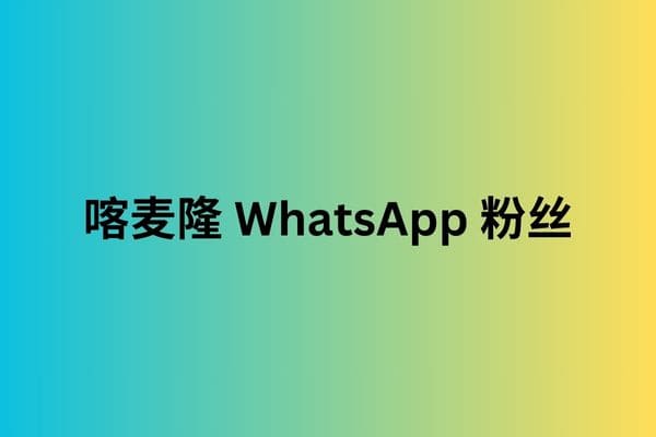 喀麦隆 WhatsApp 粉丝