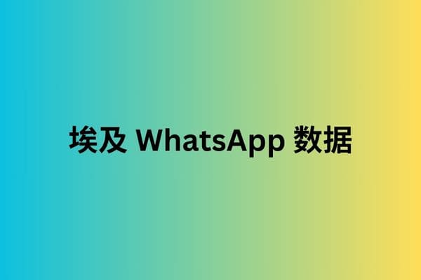 埃及 WhatsApp 数据