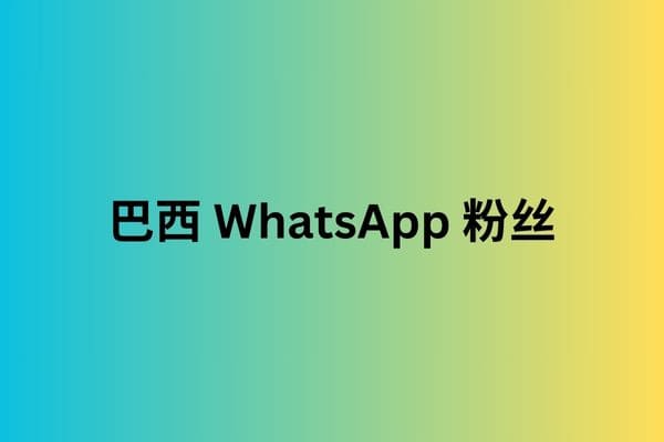 巴西 WhatsApp 粉丝