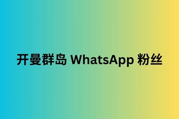 开曼群岛 WhatsApp 粉丝