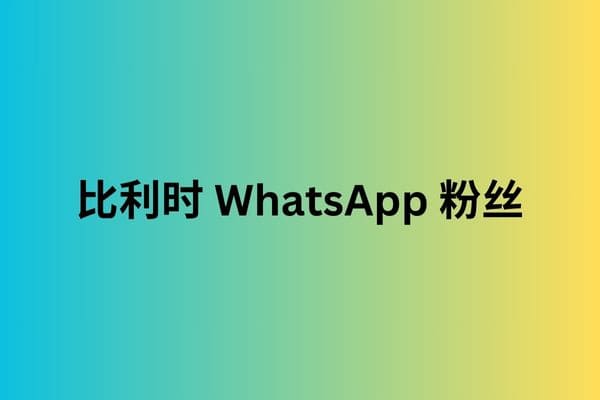 比利时 WhatsApp 粉丝