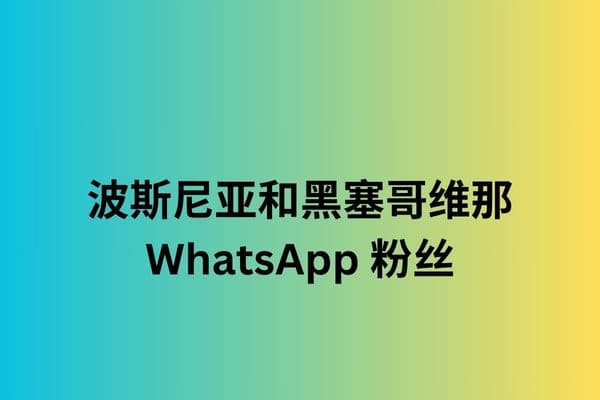 波斯尼亚和黑塞哥维那 WhatsApp 粉丝