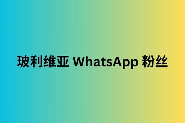 玻利维亚 WhatsApp 粉丝