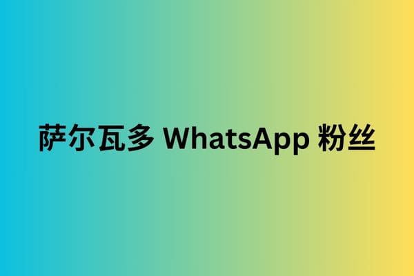 萨尔瓦多 WhatsApp 粉丝